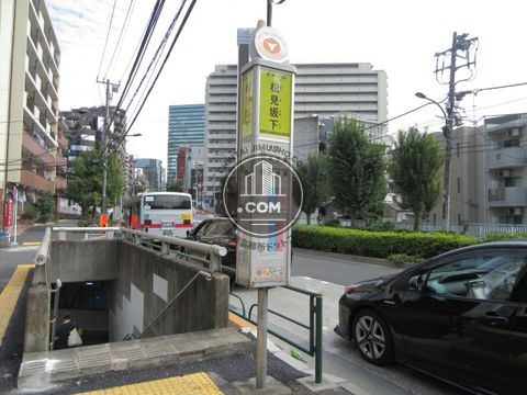 大通り