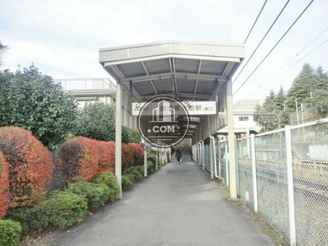 駅周辺