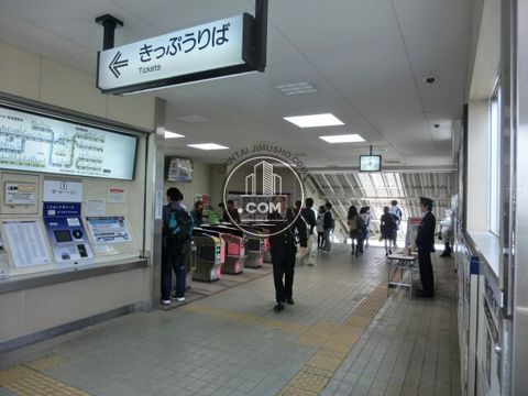 駅周辺