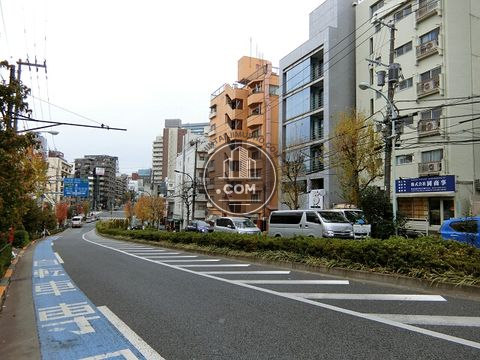 大通り