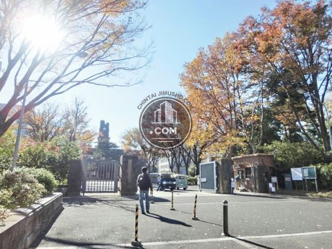 大通り