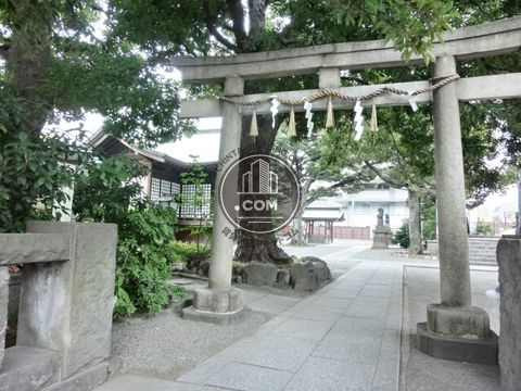 大通り