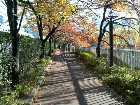 裏路地