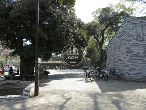 裏路地