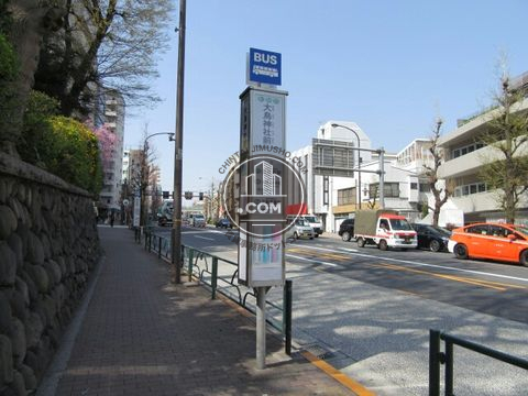 大通り