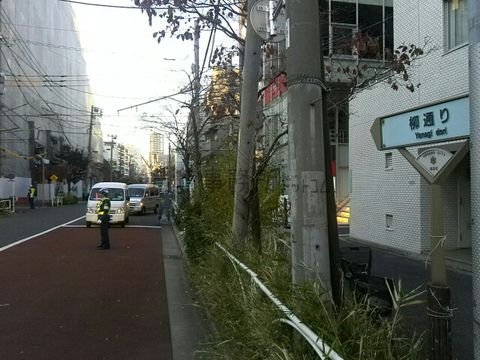 柳通り
