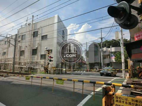 大通り