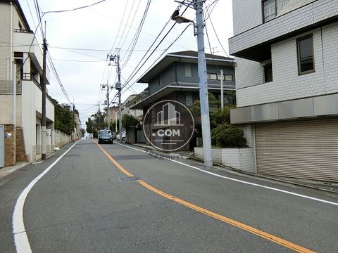 大通り