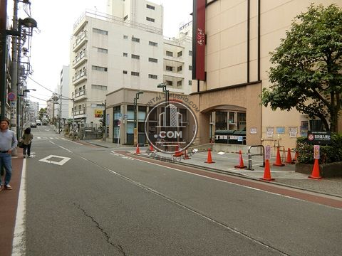 大通り
