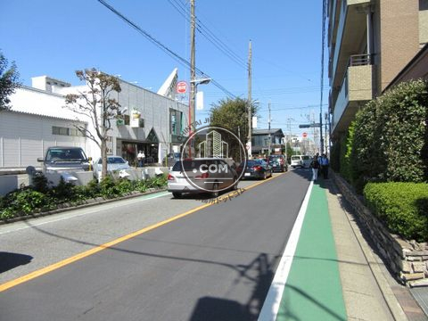 大通り