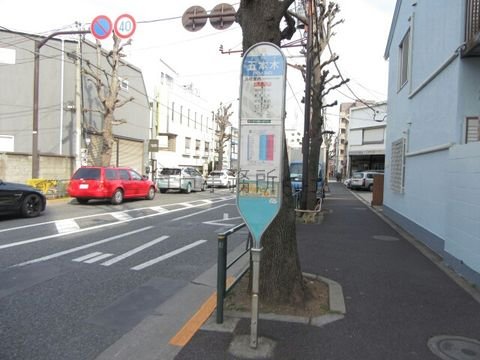 バス停 (五本木)