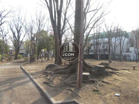 裏路地