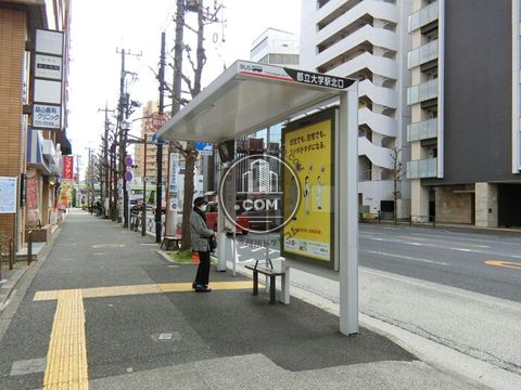 大通り