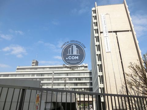 大通り