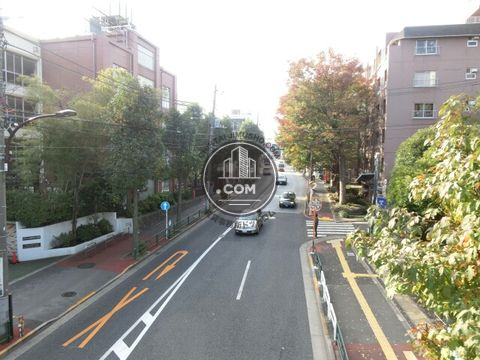 大通り