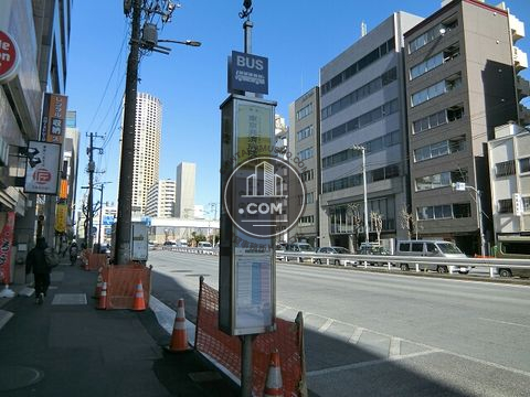 大通り