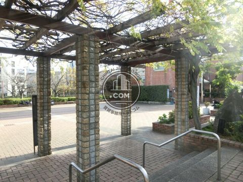大通り