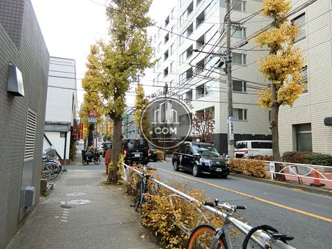 大通り