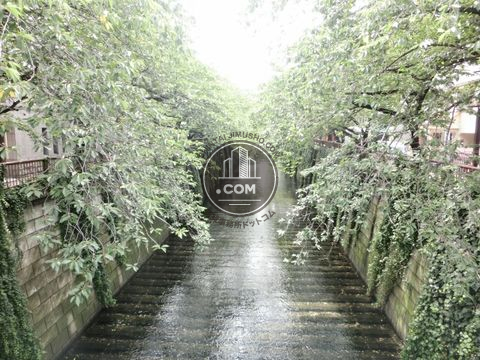 裏路地