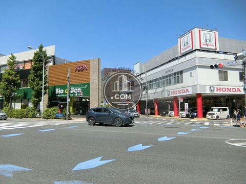 大通り