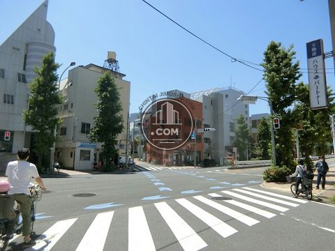 大通り