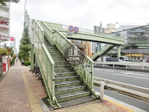 大通り