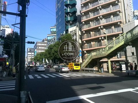 大通り
