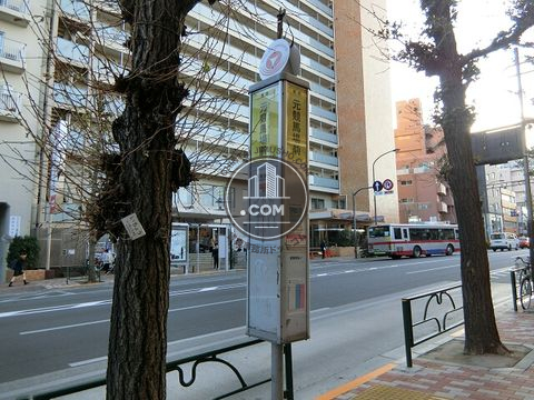 大通り