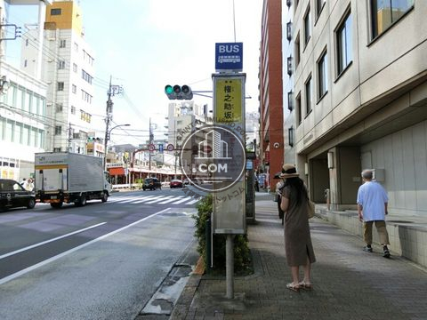大通り