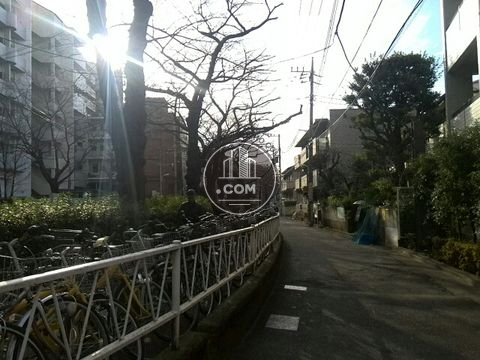 裏路地