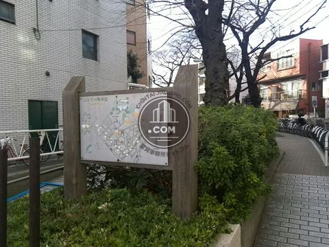 大通り