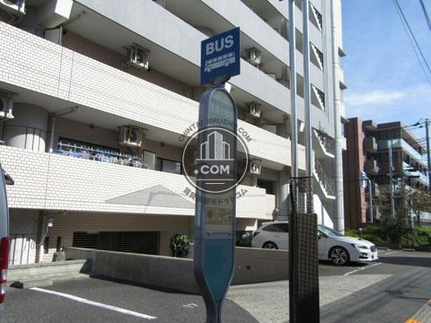 大通り