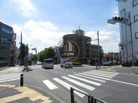 大通り