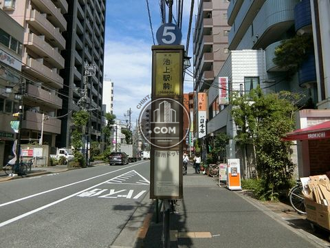 大通り