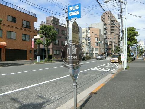 大通り