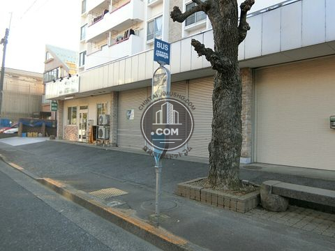 大通り