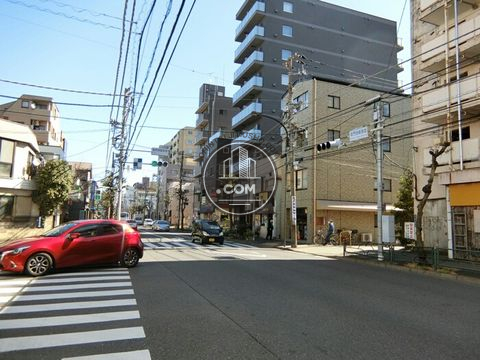 大通り