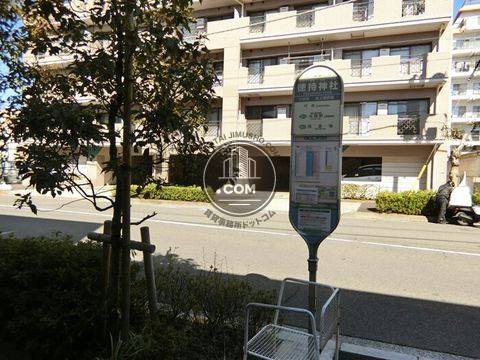 大通り