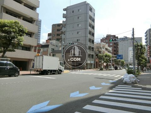 大通り