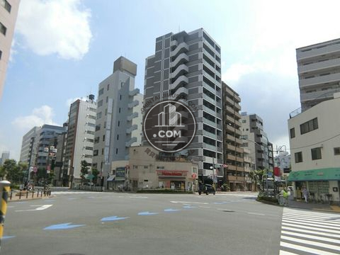 大通り