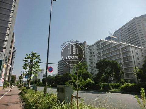 大通り