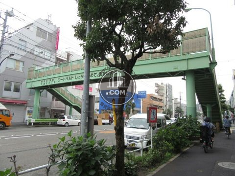 大通り