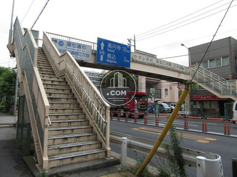 大通り