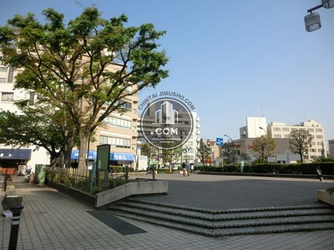 大通り