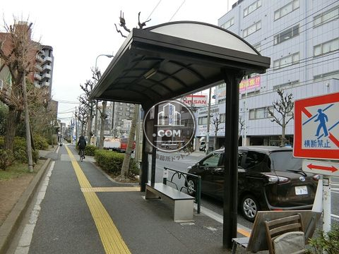 大通り