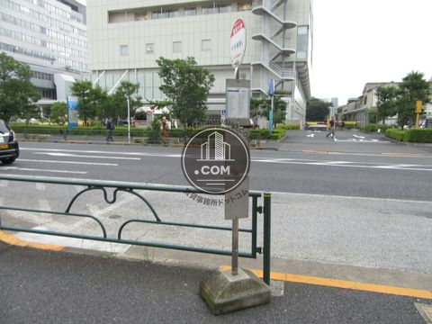 大通り