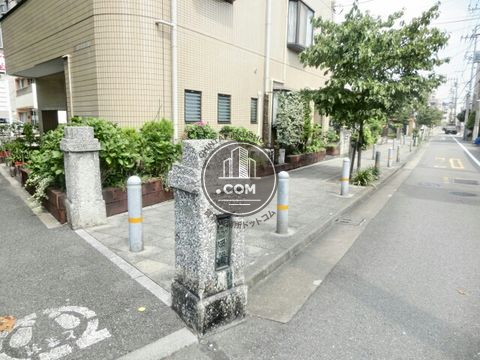 大通り