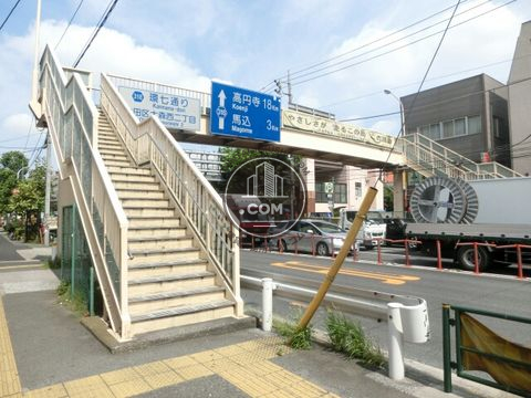 大通り