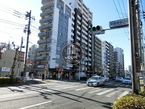 大通り