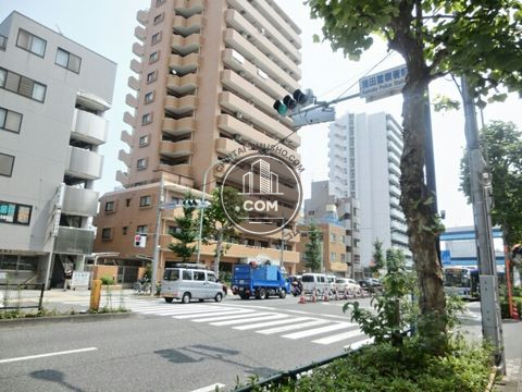 大通り